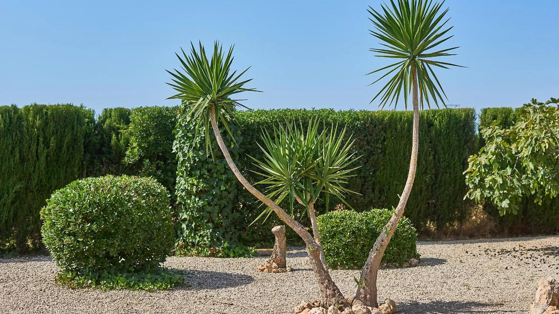 Finca Barralina Campos  Holiday home Campos (Mallorca)
